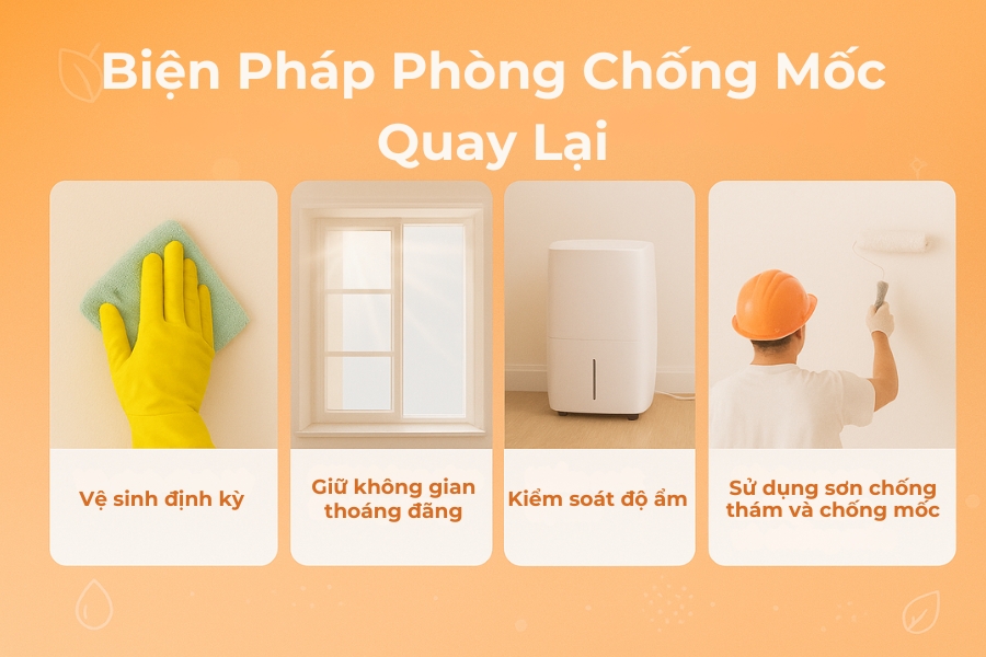 Biện pháp phòng chống mốc quay lại.
