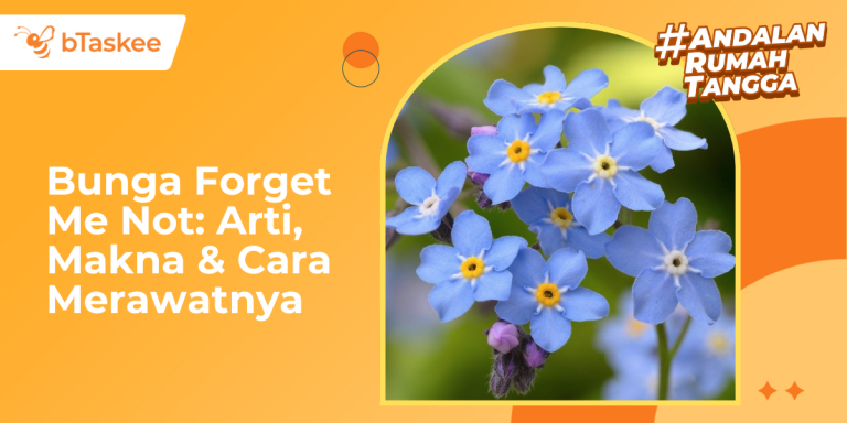 Bunga Forget Me Not: Arti, Makna, dan Cara Merawatnya