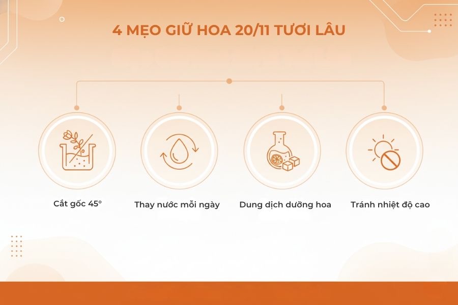 Có những mẹo để giữ tác phẩm hoa 20/11 được tươi lâu mà bạn cần biết.