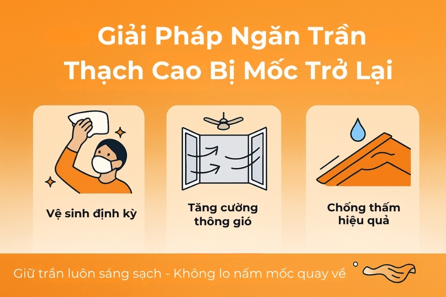 Giải pháp giúp trần thạch cao không bị mốc trở lại.