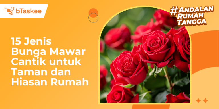 15 Jenis Bunga Mawar Cantik untuk Taman dan Hiasan Rumah