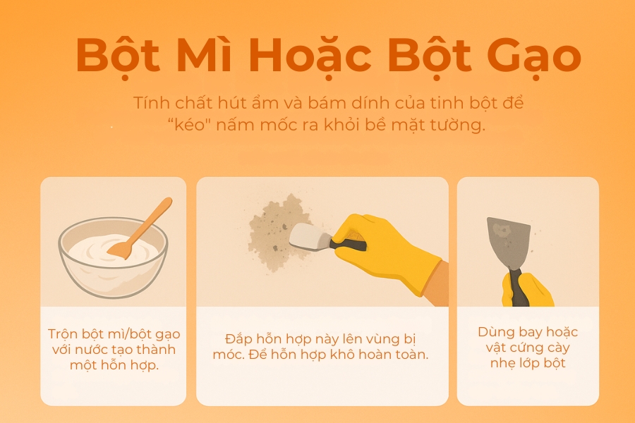 Sử dụng bột mì và bột bột gạo kéo nấm mốc ra khỏi bề mặt.