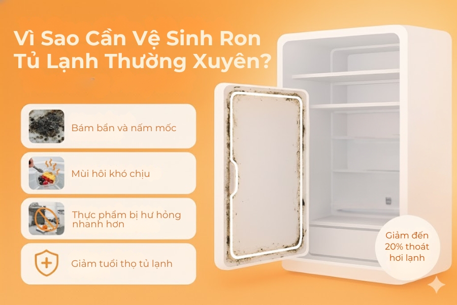 5 lí do cần phải vệ sinh ron tủ lạnh thường xuyên.
