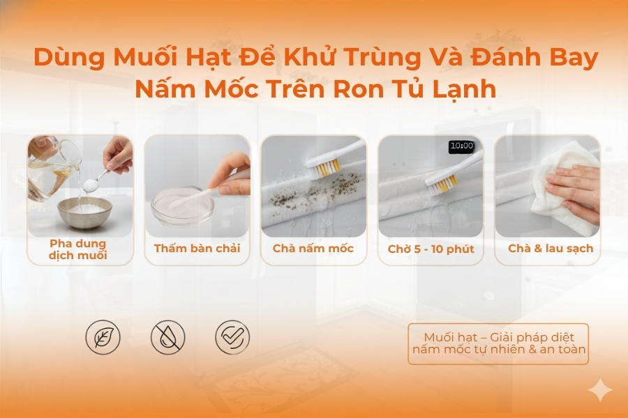 Cách vệ sinh ron tủ lạnh bằng dung dịch muối loãng.