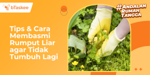 Tips & Cara Membasmi Rumput Liar agar Tidak Tumbuh Lagi