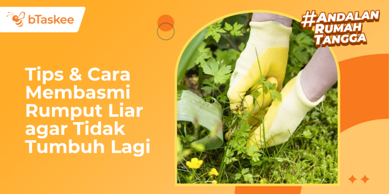 Tips & Cara Membasmi Rumput Liar agar Tidak Tumbuh Lagi