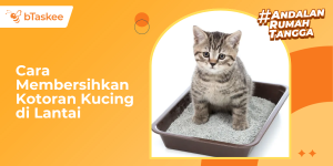 Cara Membersihkan Kotoran Kucing di Lantai