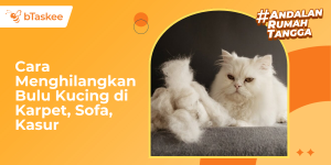Cara Menghilangkan Bulu Kucing di Karpet, Sofa, Kasur