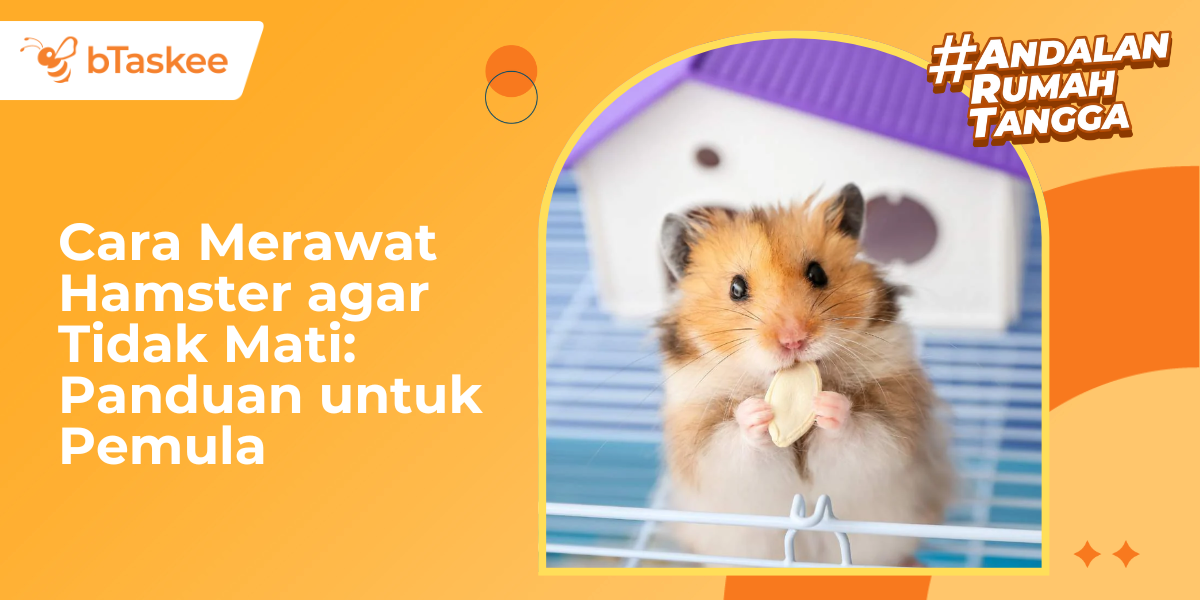 12 Cara Merawat Hamster agar Tidak Mati: Panduan untuk Pemula
