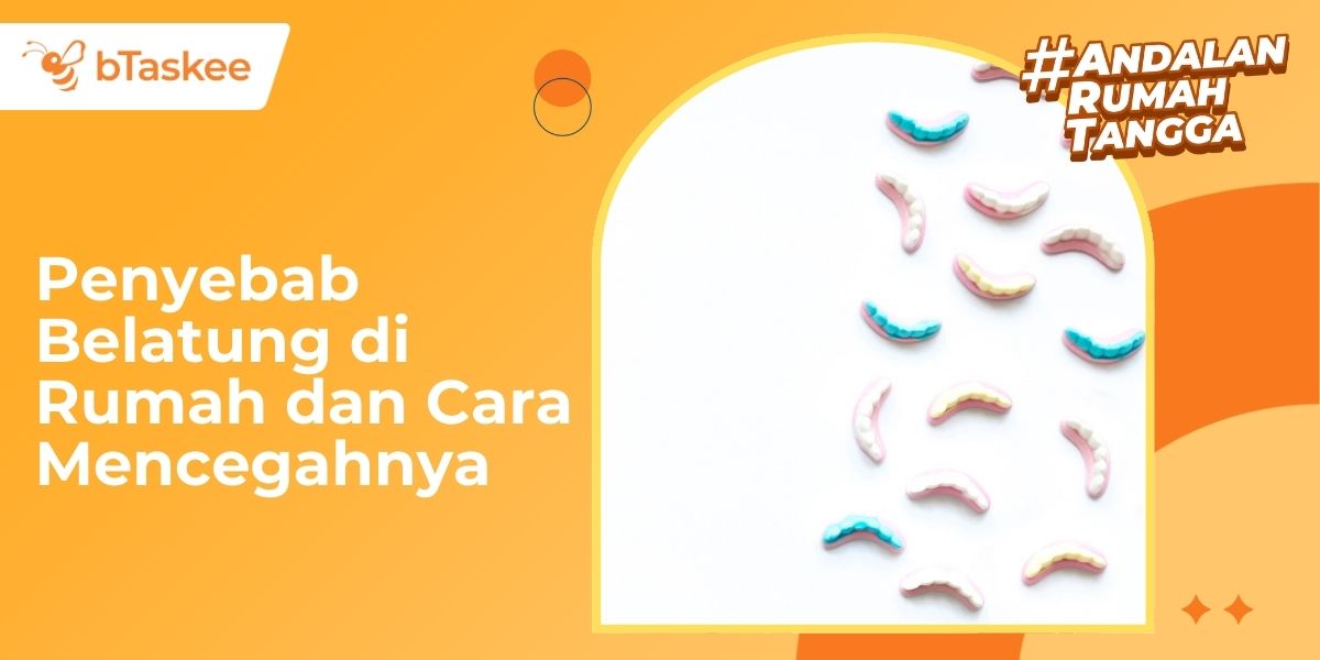 penyebab belatung di rumah, kenali!